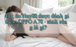 4 lý do Hay88 được đánh giá cao OPPO A78   sảnh rồng là gì