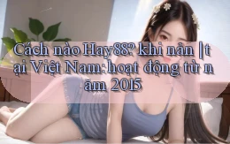 Cách nào Hay88 khi nản tại Việt Nam hoạt động từ năm 2015