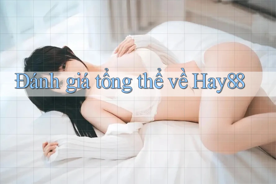 Đánh giá tổng thể về hay88