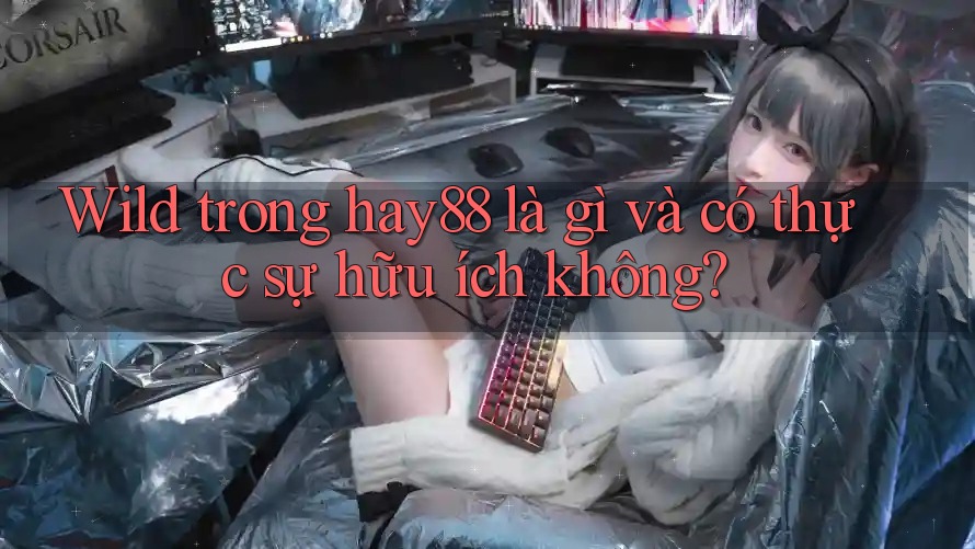 Wild trong hay88 là gì và có thực sự hữu ích không? Wild trong hay88 là gì và có thực sự hữu ích không?